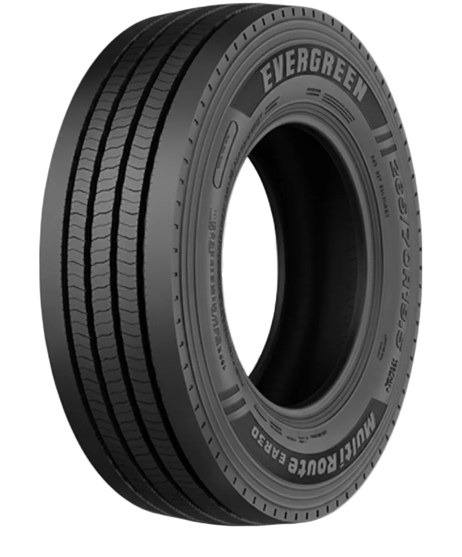 385/55R22.5 160K evergreen